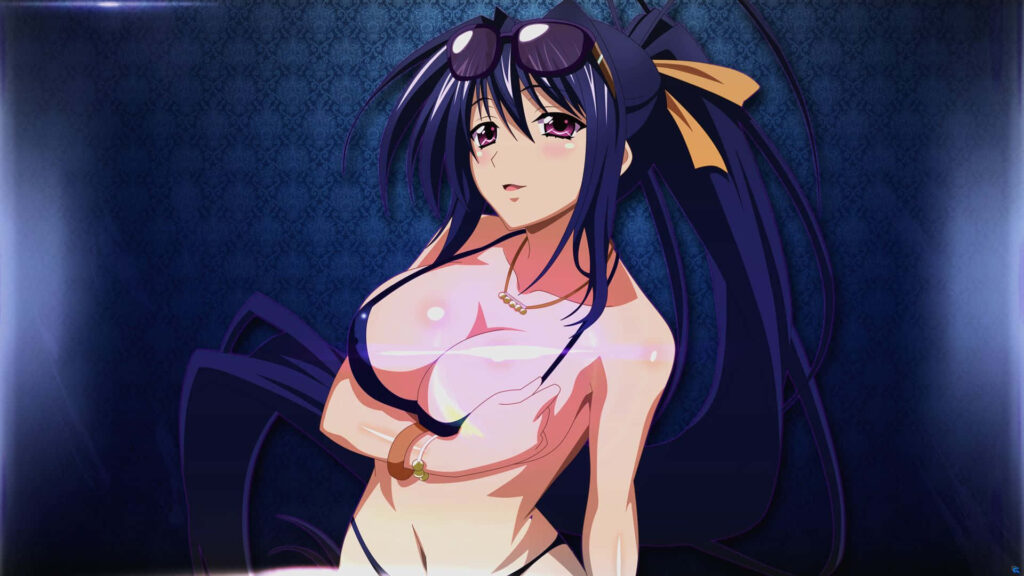 Akeno Himejima confident pose anime wallpaper with unique character design and stylish pattern background