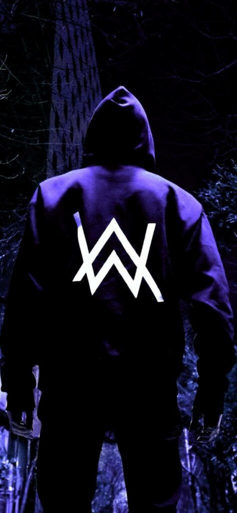 Hooded Harmony: Alan Walker Captured in a Striking Low-Angle Pose, Showcasing Logo on his Back Wallpaper