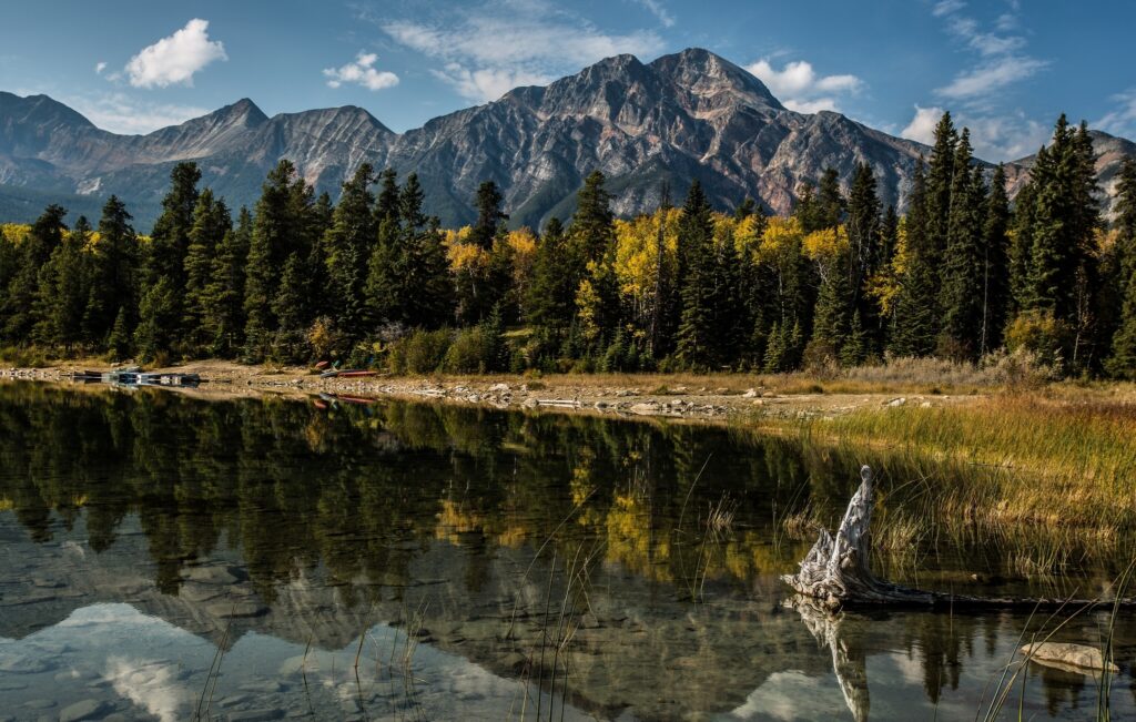 Majestic Alberta mountains with evergreen trees autumn foliage reflected in clear tranquil lake Wallpaper