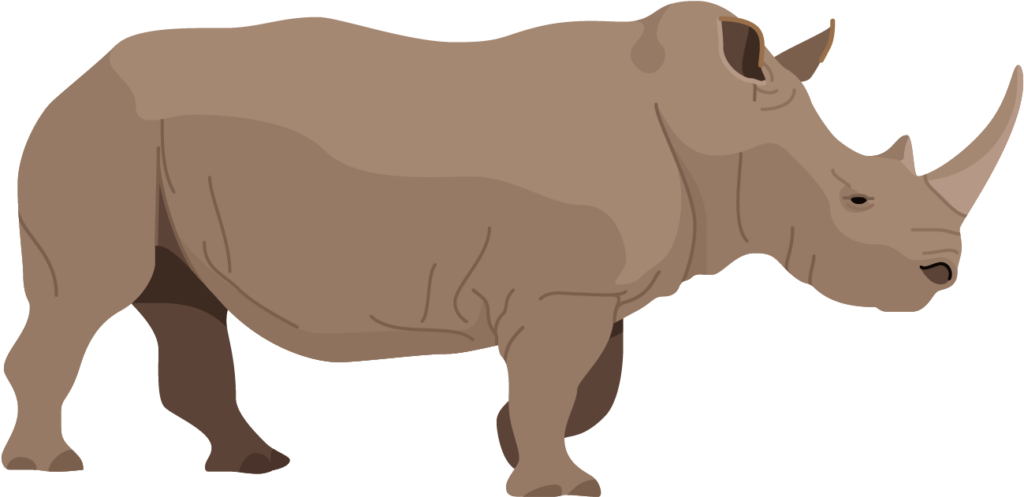 Alert Rhinoceros Illustration - Minimalist PNG Wallpaper Design
