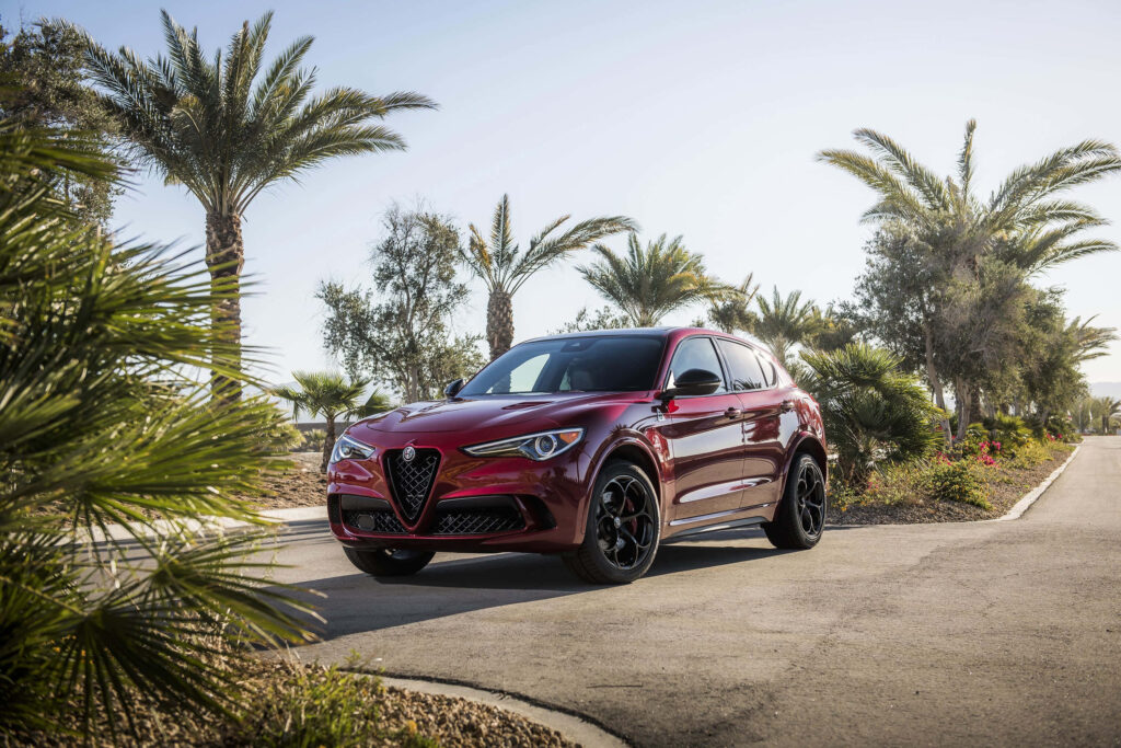 Alfa Romeo Stelvio on sunlit palm tree road showcasing modern design and dynamic presence Wallpaper