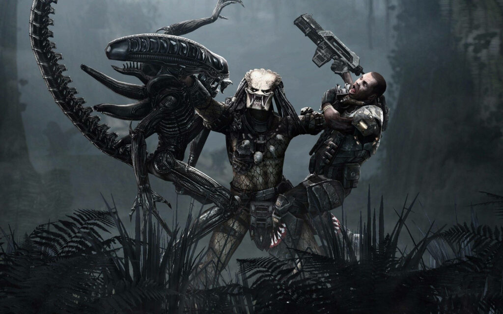 Predator battling Alien and armed soldier in misty forest intense Alien Versus Predator wallpaper