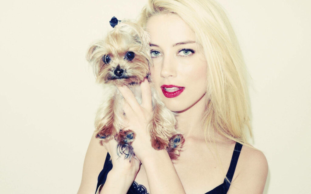 Amber Heard with small terrier Boo posing together against light vibrant wallpaper background