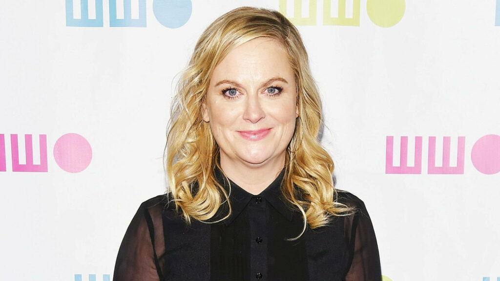 Amy Poehler vibrant portrait colorful backdrop Hollywood star wallpaper background image