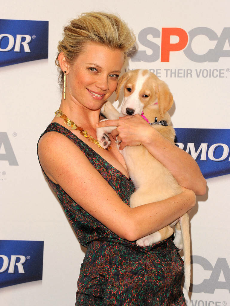 Amy Smart smiling and holding a cute puppy heartwarming dog wallpaper for animal lovers