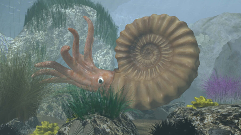 Ancient ammonite fossil in prehistoric sea with rocks corals and underwater plants wallpaper