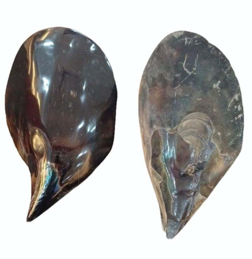 Two polished flint stone tools with smooth surfaces and sharp edges ancient craftsmanship wallpaper