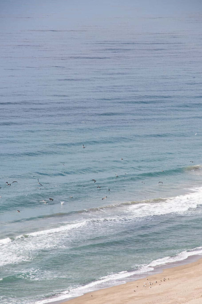 Serene Seascape: Majestic Ocean Waves and Soaring Seabirds Wallpaper
