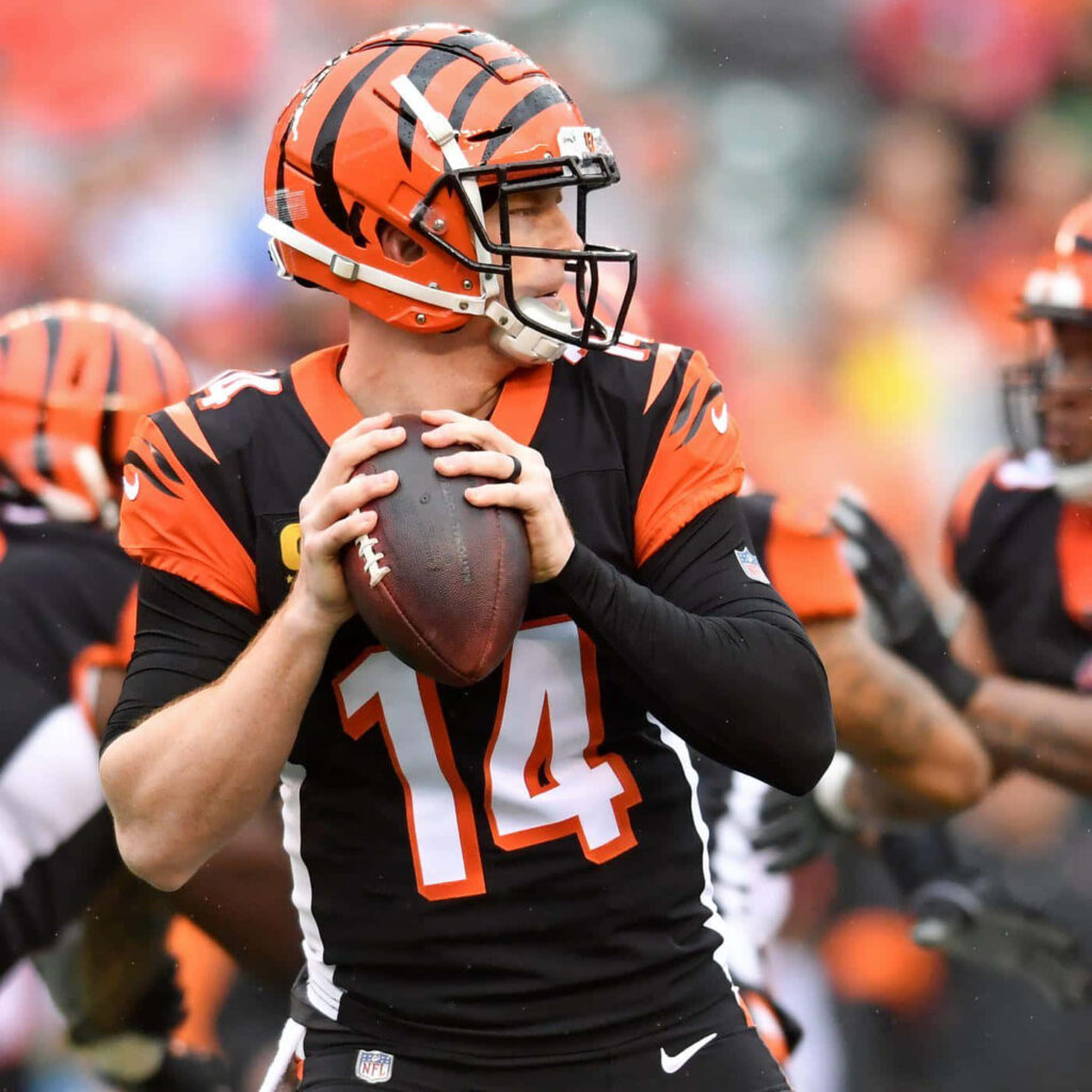 Andy Dalton Cincinnati Bengals quarterback preparing to throw downfield during game wallpaper