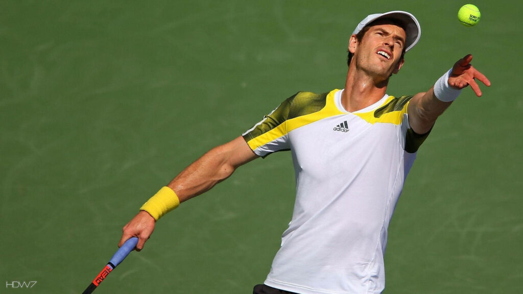 Andy Murray serving on tennis court focused in mid-action green wallpaper background