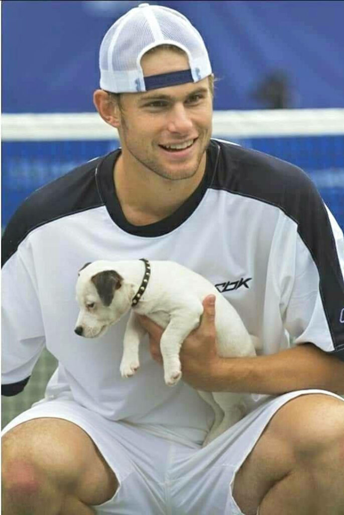 Andy Roddick smiling on tennis court holding small white puppy creating playful moment wallpaper