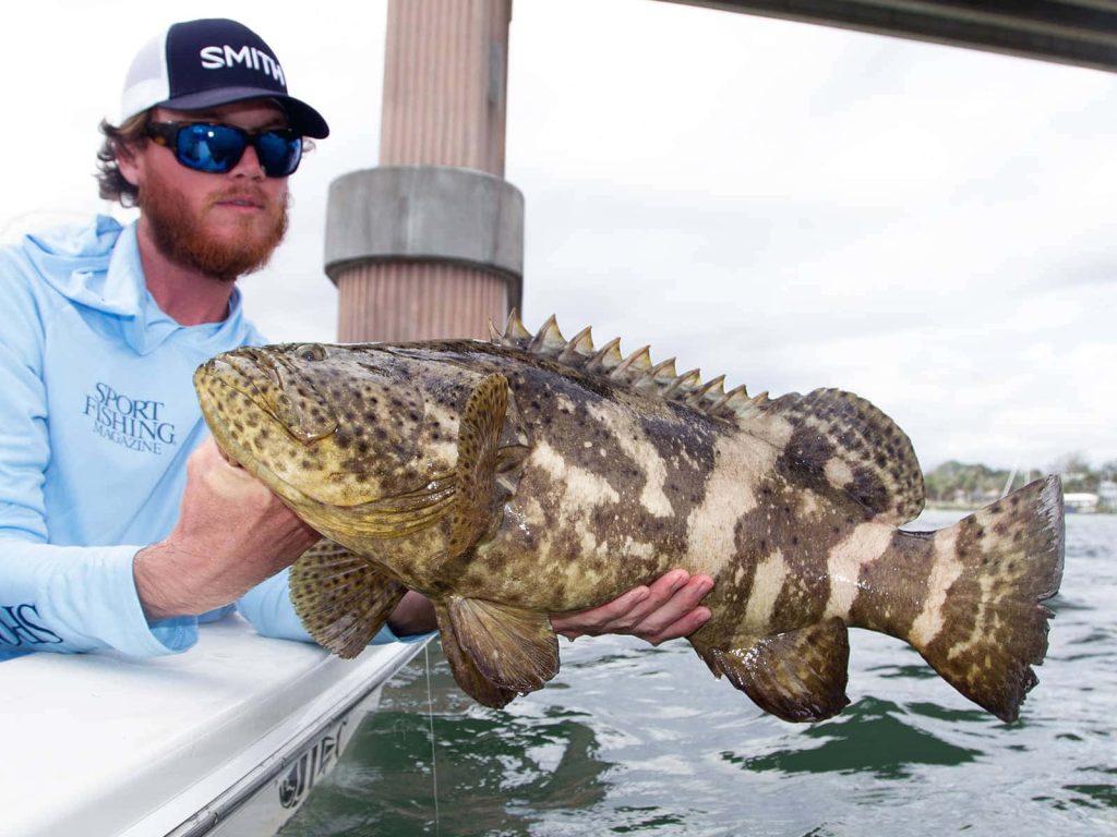 Angler in Smith hat holding large mottled Goliath Grouper by bridge piling saltwater fishing Wallpaper