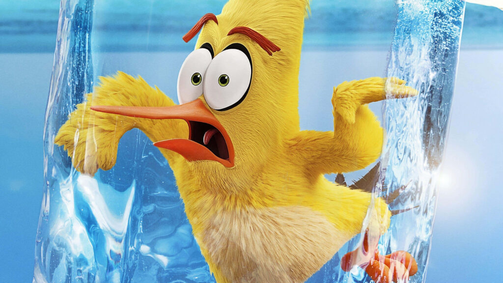 Angry Birds Chuck trapped in ice with shocked expression dynamic wallpaper background
