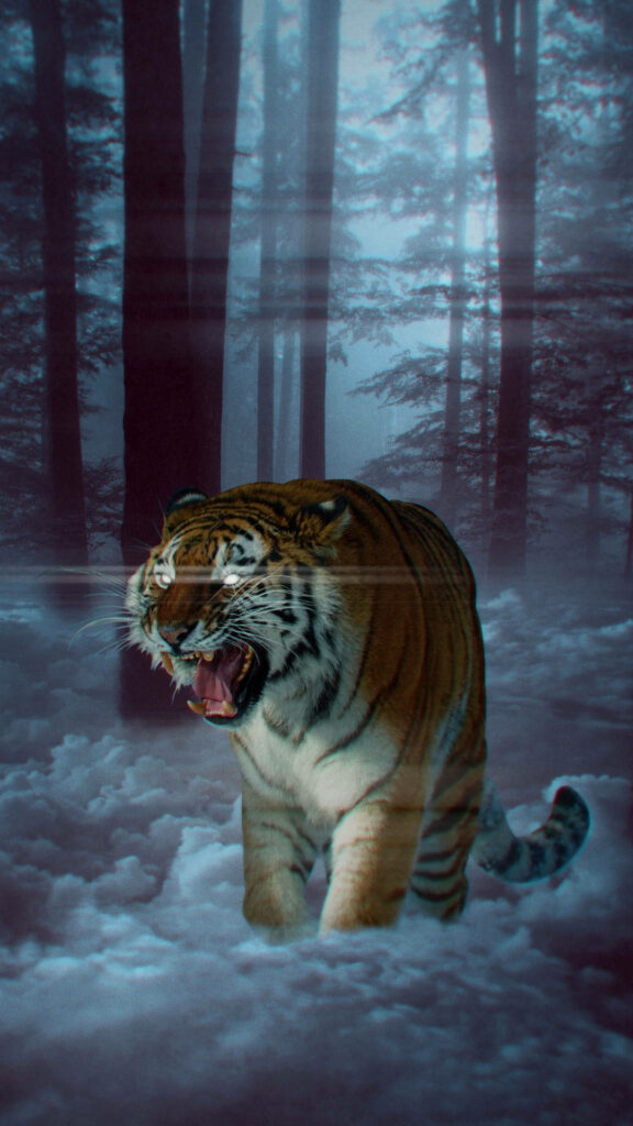 Angry Tiger Prowling in Misty Forest Background - Power & Ferocity Wallpaper