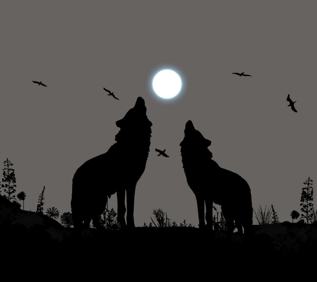 Anime Wolves Howling at Moon – Mystical Night Wallpaper