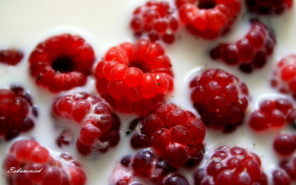 Fresh Raspberries in Creamy Milk - Appetizing Wallpaper Background