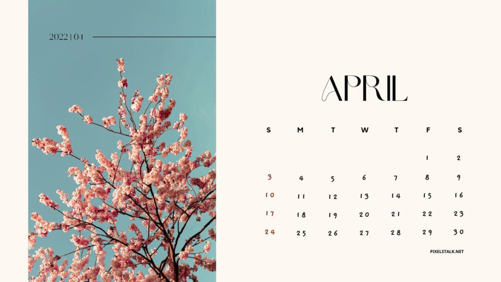 April 2022 calendar wallpaper with blooming cherry blossoms and serene blue sky background