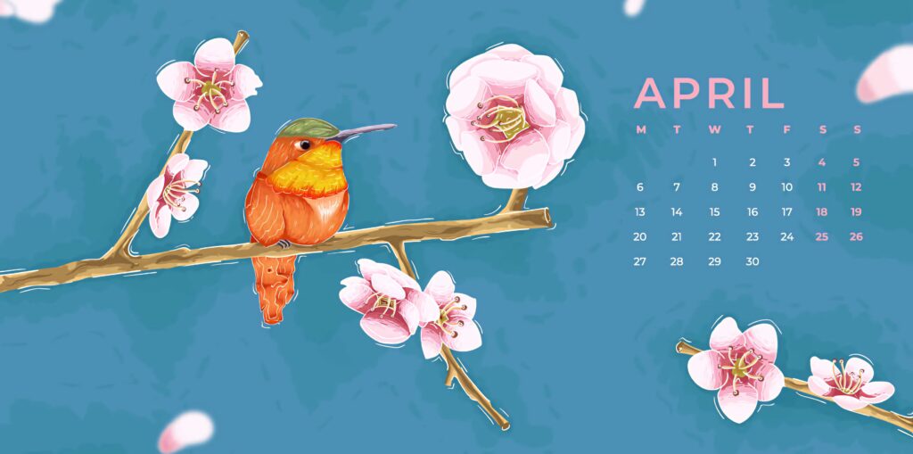 Vibrant hummingbird on cherry blossom branch April calendar wallpaper spring digital art background