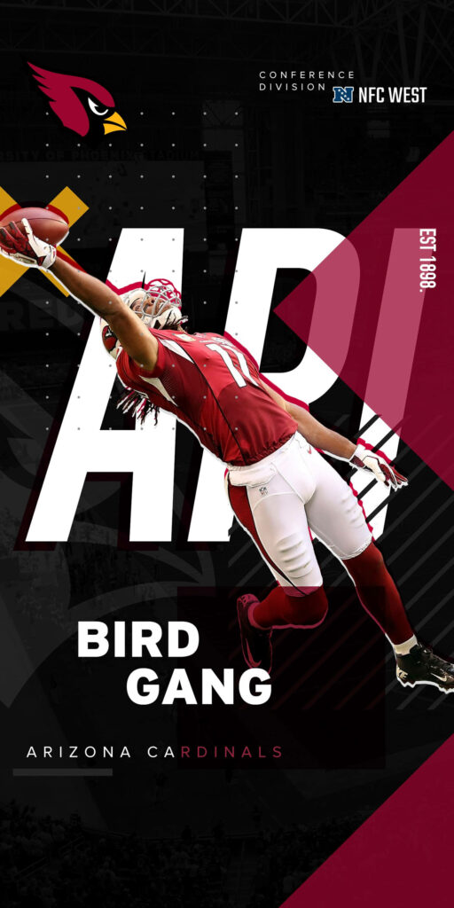 Arizona Cardinals Bird Gang wallpaper with player making dramatic catch and NFC West branding