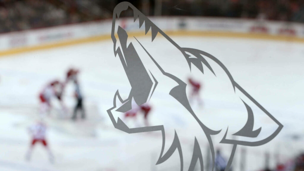 Bold Arizona Coyotes logo in sharp focus against blurred ice hockey rink during live game wallpaper