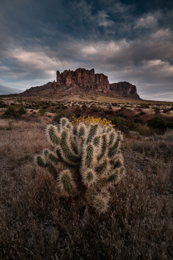 Rugged Arizona landscape with cactus dry bushes rock formations and moody Southwest sky wallpaper