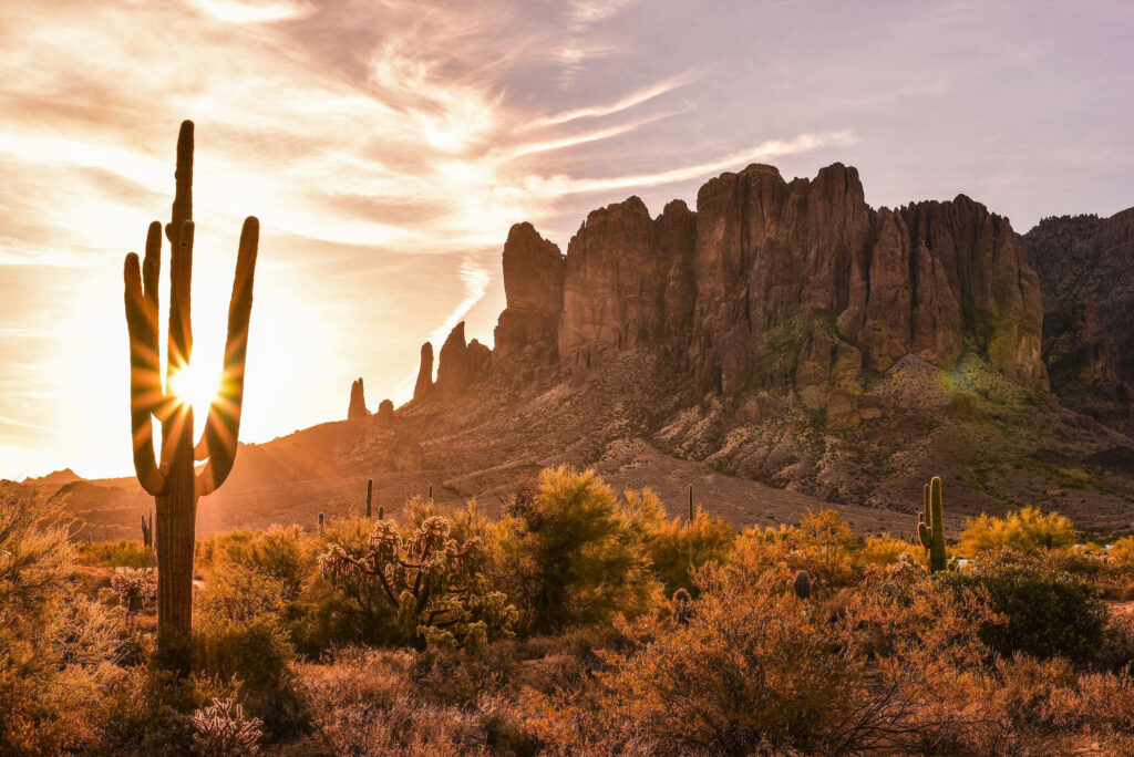 Sunset over Arizona desert with towering cacti and rugged rock formations golden light Wallpaper
