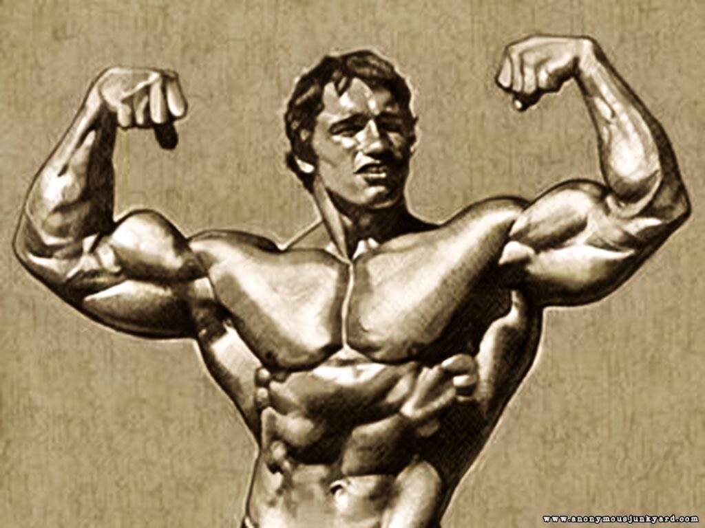 Arnold Schwarzenegger Graphic Art Wallpaper: Iconic Bodybuilding Pose
