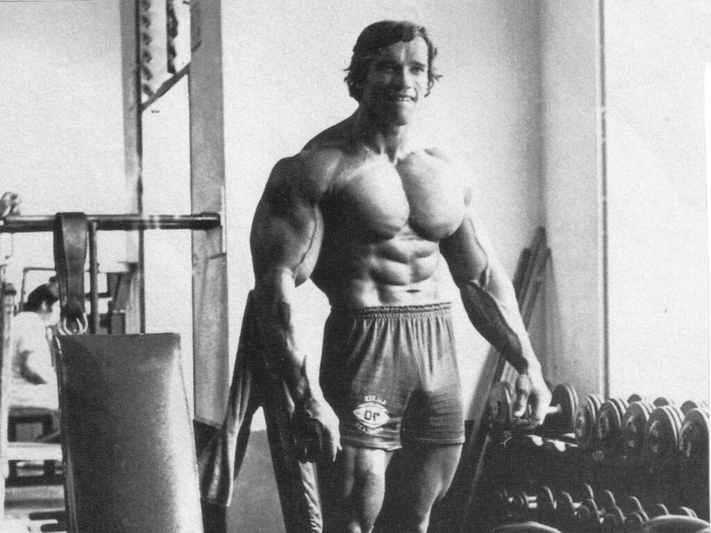 Arnold Schwarzenegger: Gym Physique Wallpaper Capturing Strength & Dedication