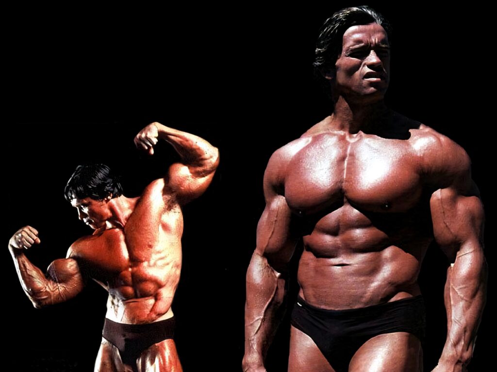 Arnold Schwarzenegger Wallpaper: Muscular Strength & Bodybuilding Art
