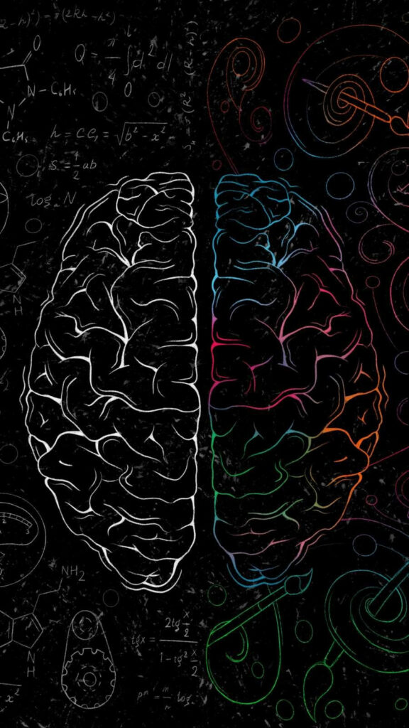 Artistic Human Brain Wallpaper: Colorful Cortex & Science Design