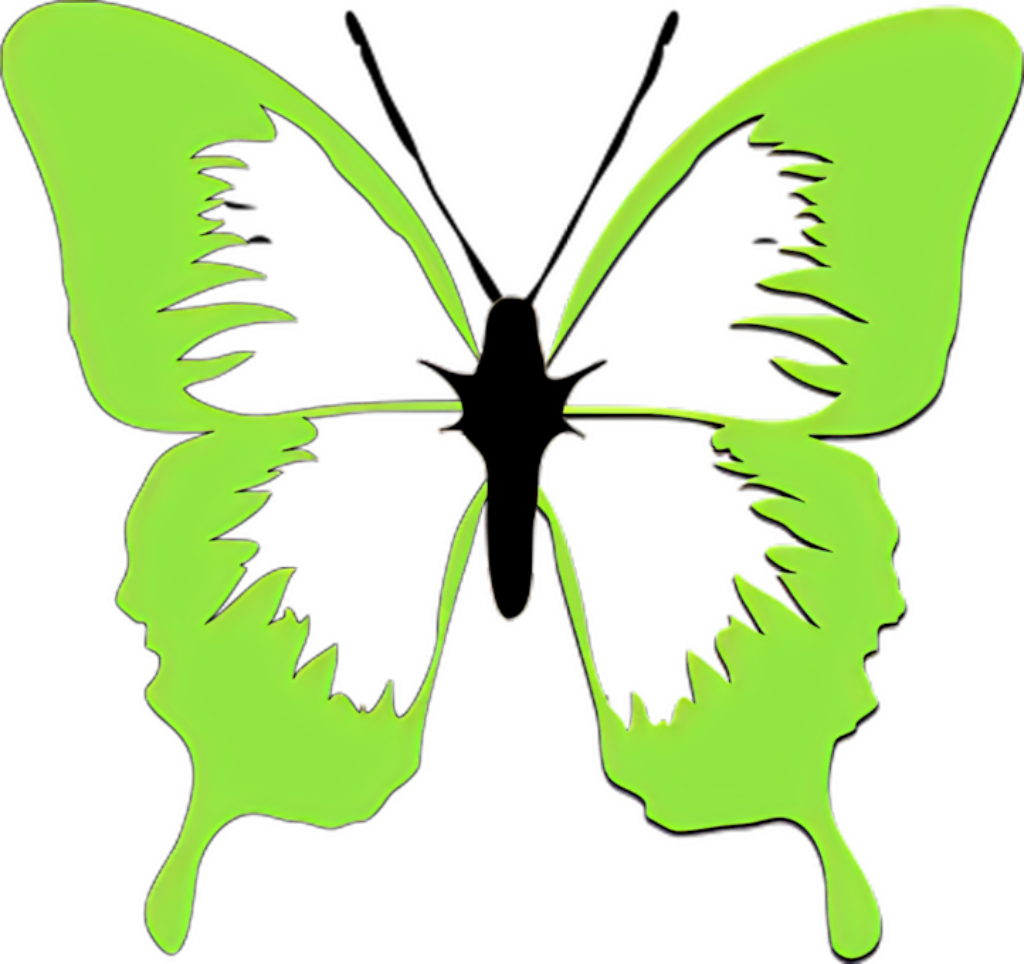 Artistic Green Butterfly Silhouette with Unique Patterns - Wallpaper