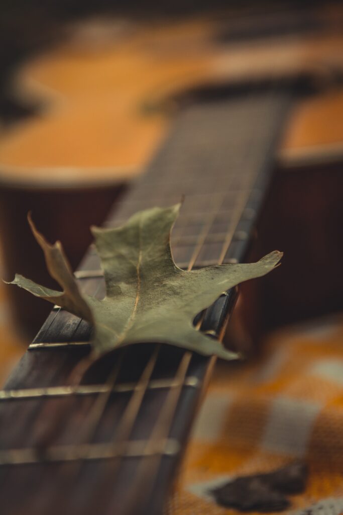 Artistic Macro Shot: Guitar with Green Leaf – Stunning Wallpaper