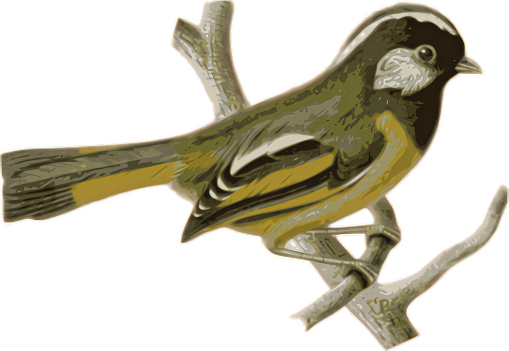 Golden Olive Bird Wallpaper: Artistic Nature-Inspired Design