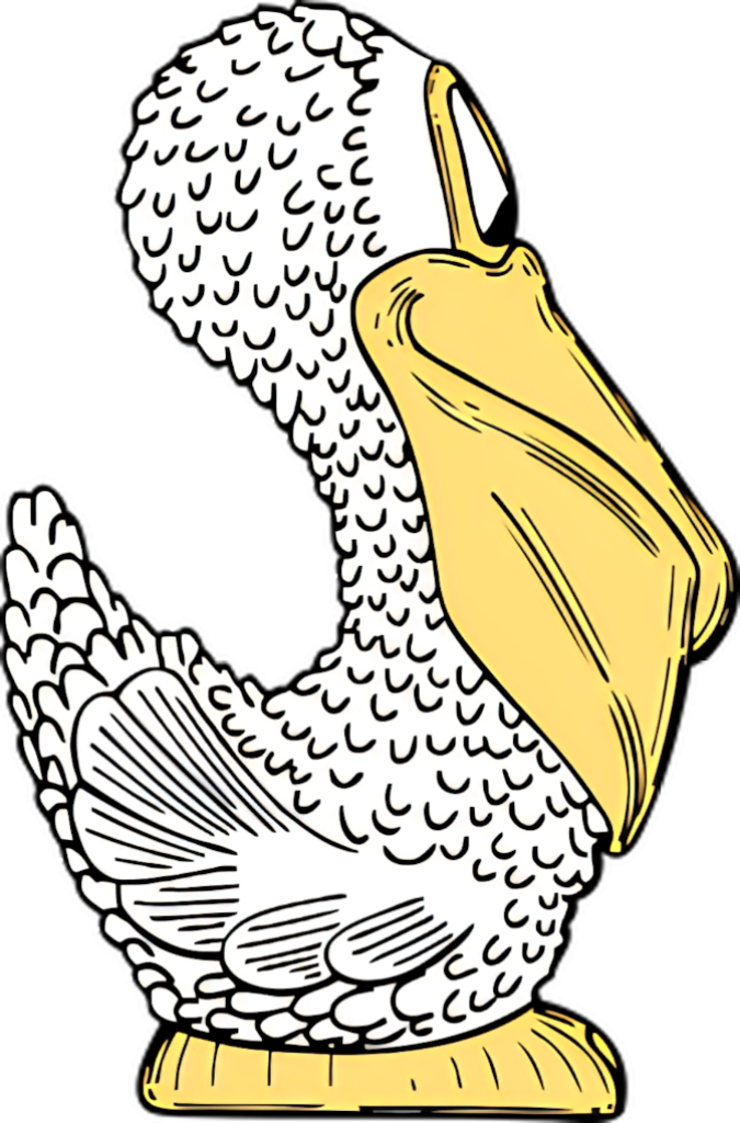 Stylized Pelican Wallpaper: Artistic Profile Illustration & Details