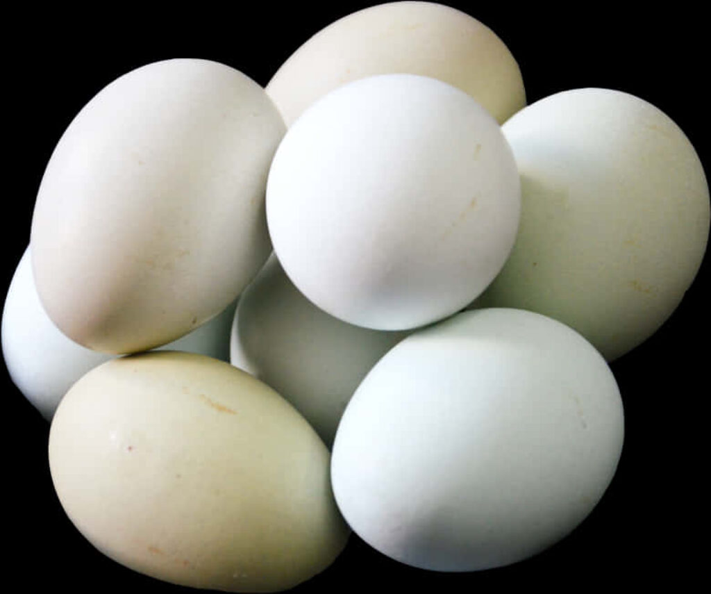 Vibrant Assorted Chicken Eggs Wallpaper on Black Background