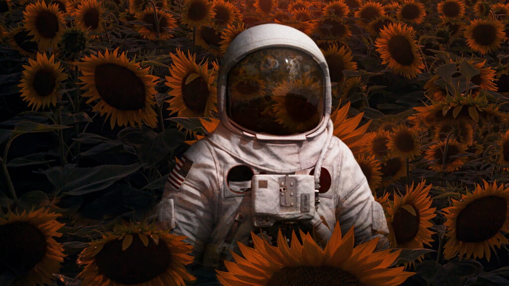 Exploring Interstellar Beauty: Astronaut Immersed in a Sunflower Haven Wallpaper