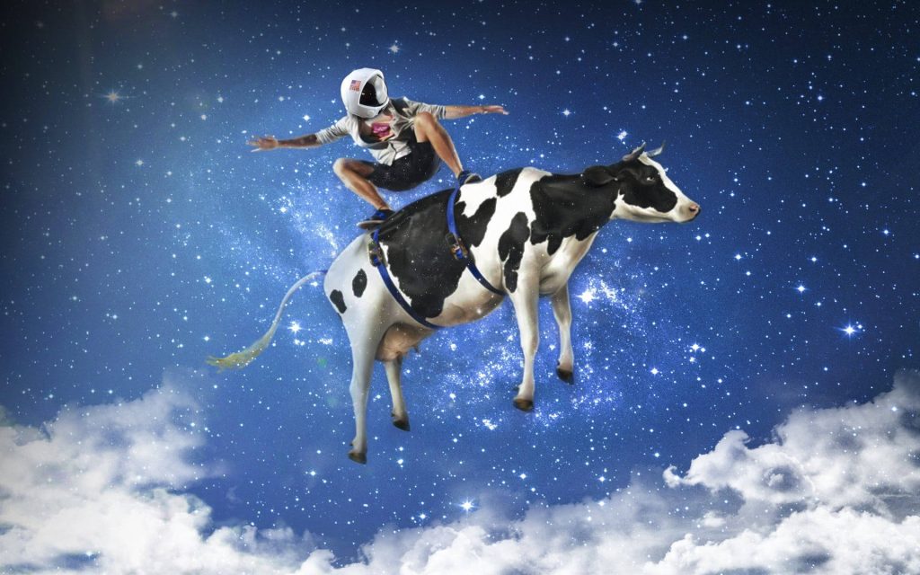 Astronaut helmet rider on black and white cow flying through vibrant starry galaxy cosmic wallpaper