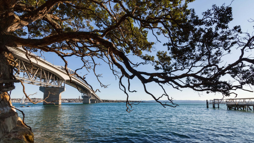 Auckland Harbour Bridge over blue water framed by tree branches under clear sky wallpaper