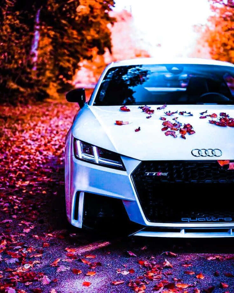 Audi R8 driving through autumn landscape with fallen leaves on hood sleek elegant motion wallpaper