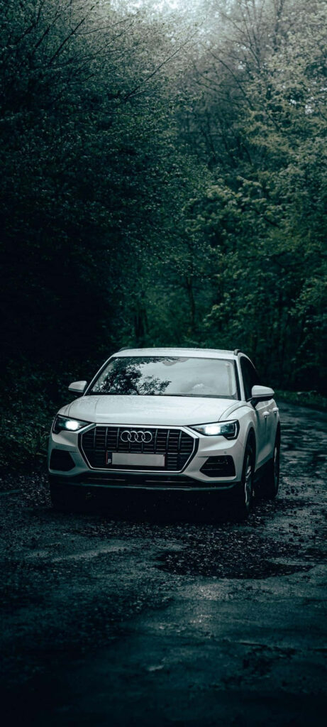 Audi R8 sports car on winding road with lush green trees dynamic wallpaper background image