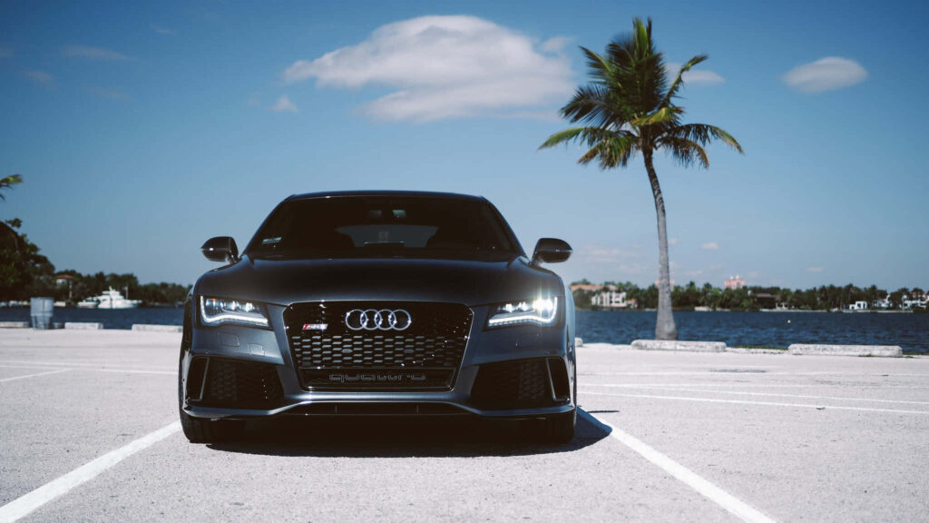 Audi sports car parked by sunny waterfront with palm tree and clear blue sky background Wallpaper