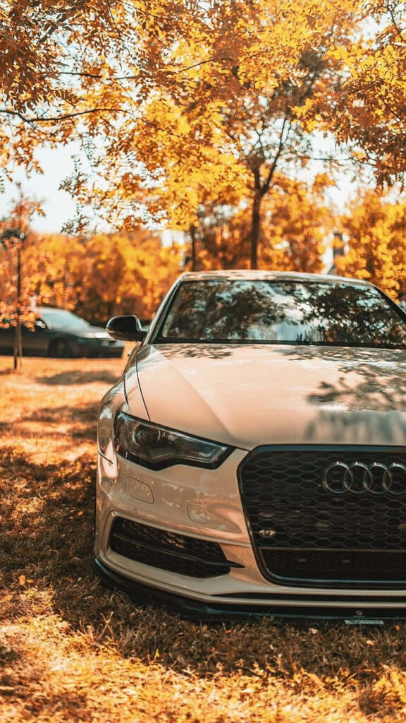 Sleek Audi under vibrant autumn trees iPhone Xs Max wallpaper Project Cars 2 background