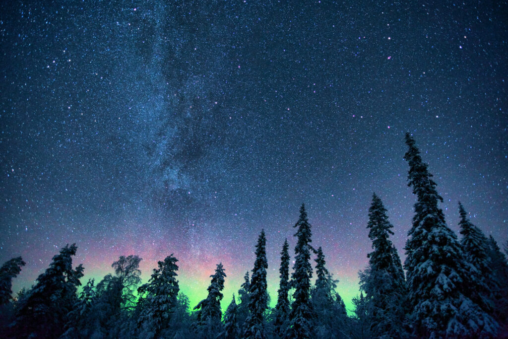 Northern lights over snowy forest with starry sky vibrant green purple aurora wallpaper background