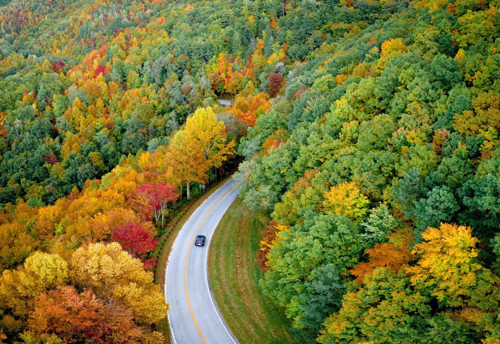Aerial view of car on winding road through vibrant autumn forest with colorful fall foliage Wallpaper