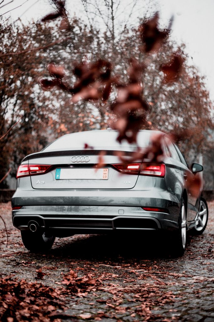 Silver Audi A3 Rear View in Autumn Landscape of Bare Trees Wallpaper