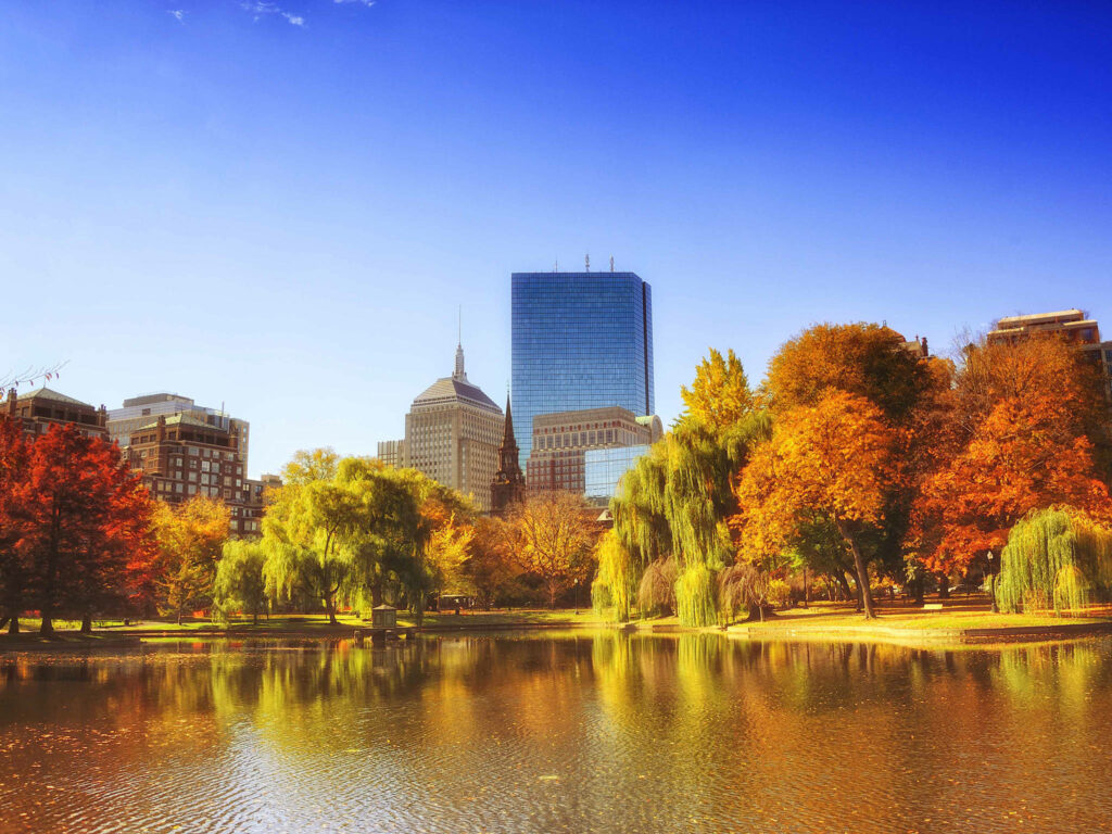 Serene Autumn Boston Common Wallpaper with Vibrant Foliage