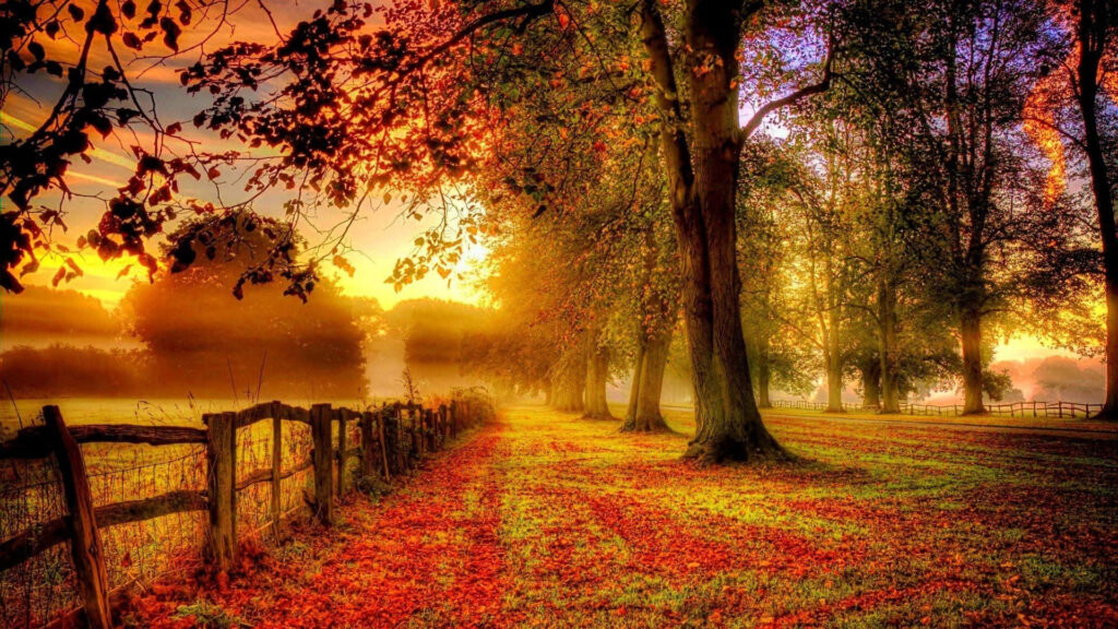 Autumn Bliss: Captivating 1920x1080 HD Fall Background Wallpaper