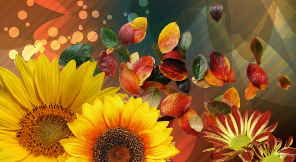 Fleeting Beauty: Delicate Flowers, Autumn Hues and Dragonfly Caress - HD Vector Wallpaper