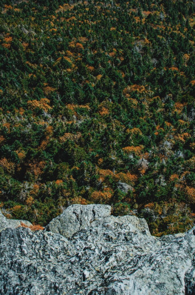 Aerial view of rugged stone cliff and vibrant autumn forest with green and orange trees background Wallpaper
