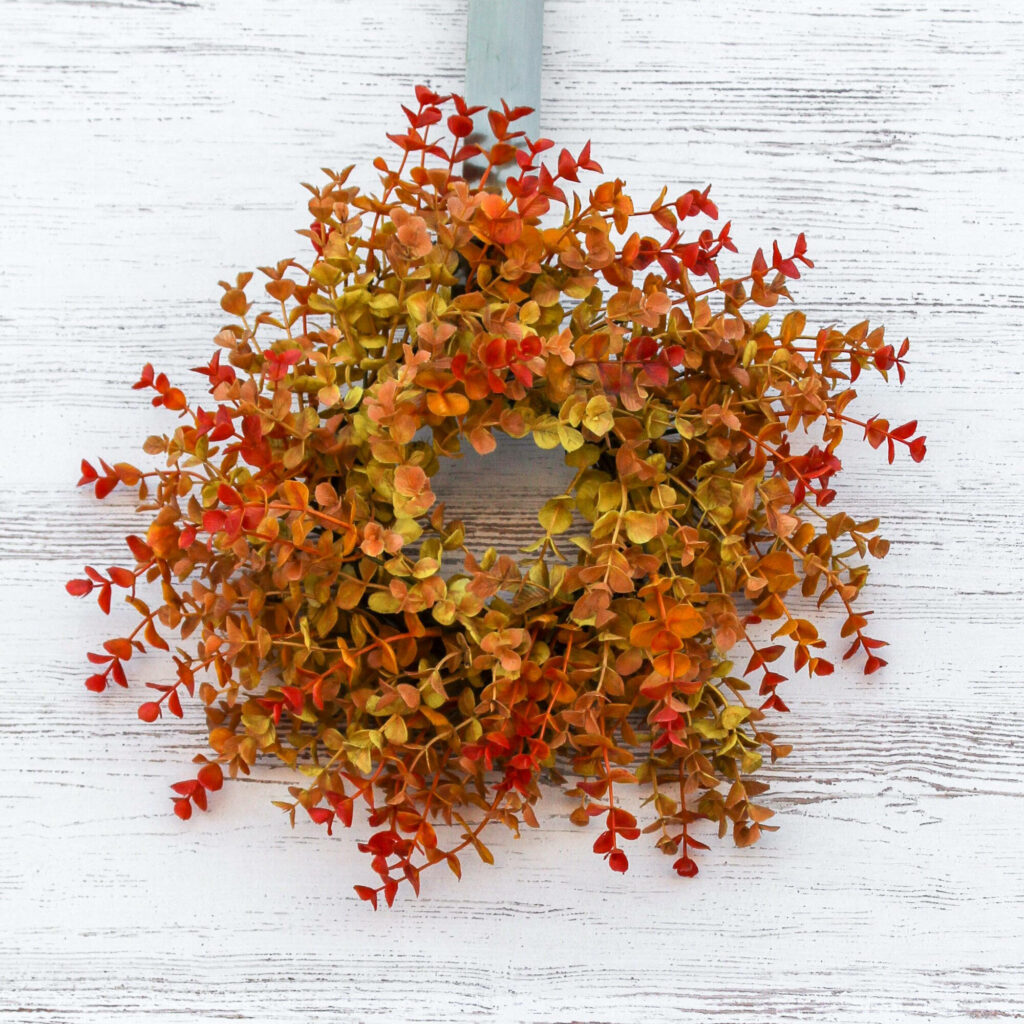 Autumn eucalyptus wreath in orange red yellow on rustic white wood cozy fall wallpaper background